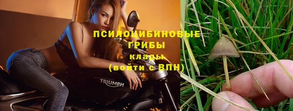 МДПВ Волоколамск