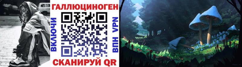 Псилоцибиновые грибы GOLDEN TEACHER  блэк спрут ССЫЛКА  Белгород 
